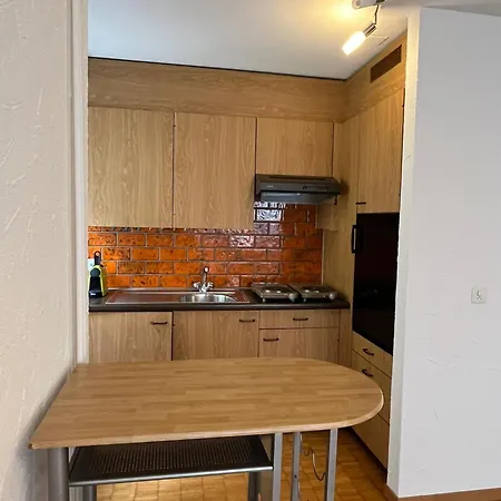 Charming In Niederdoerfli Appartement Zurich
